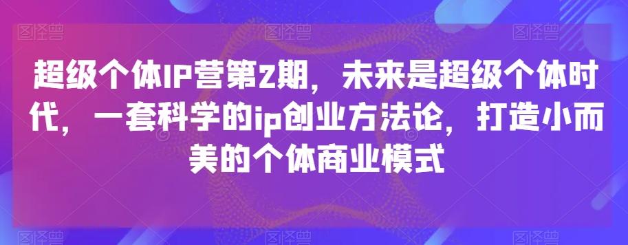 超级个体IP营第2期，未来是超级个体时代，一套科学的ip创业方法论，打造小而美的个体商业模式-海旭网创