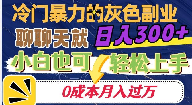 冷门暴利的副业项目，聊聊天就能日入300+，0成本月入过万【揭秘】-海旭网创