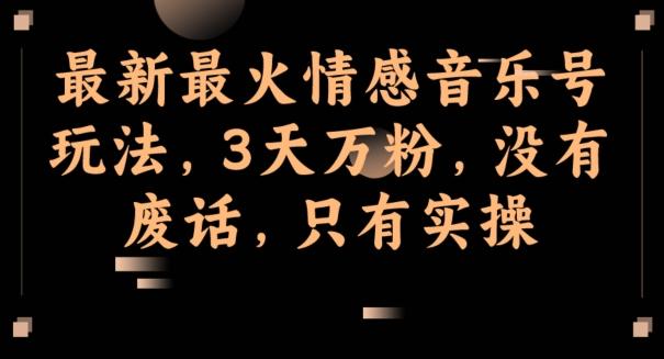 最新最火情感音乐号玩法，3天万粉，没有废话，只有实操-海旭网创