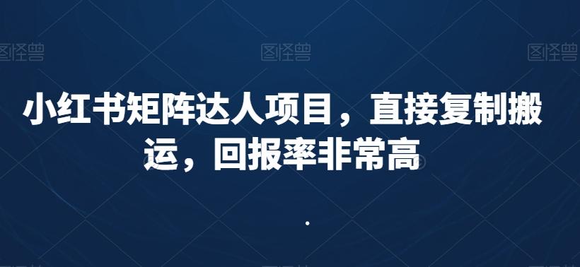 小红书矩阵达人项目，直接复制搬运，回报率非常高-海旭网创