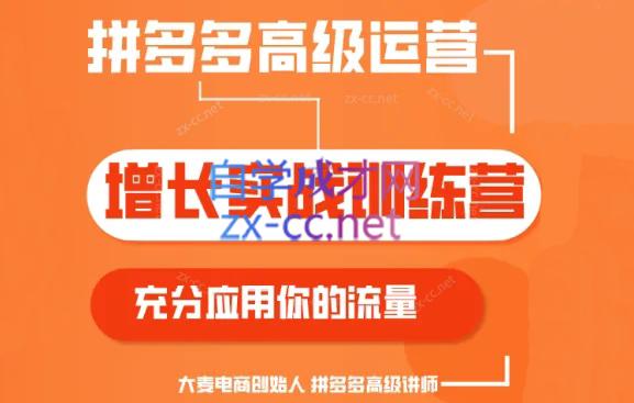 大麦老师·拼多多单品爆款打造课程(更新6月)-海旭网创