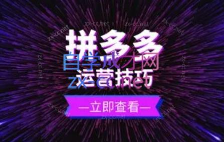 力辛电商·拼多多强付费店群玩法-海旭网创
