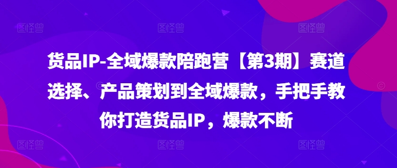 货品IP全域爆款陪跑营【第3期】赛道选择、产品策划到全域爆款，手把手教你打造货品IP，爆款不断-海旭网创