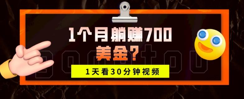 1天看30分钟视频，1个月躺赚700美金？-海旭网创