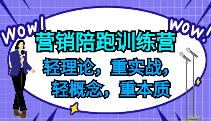 营销陪跑训练营，轻理论，重实战，轻概念，重本质，适合中小企业和初创企业的老板-海旭网创