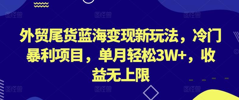 外贸尾货蓝海变现新玩法，冷门暴利项目，单月轻松3W+，收益无上限【揭秘】-海旭网创