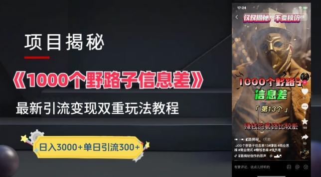 一千个野路子信息差最新玩法教程-变现+引流的玩法具体拆解【揭秘】-海旭网创