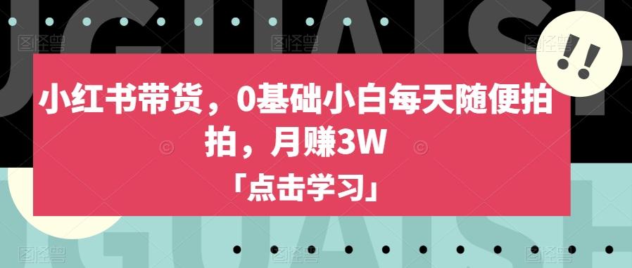 小红书带货，0基础小白每天随便拍拍，月赚3W【揭秘】-海旭网创