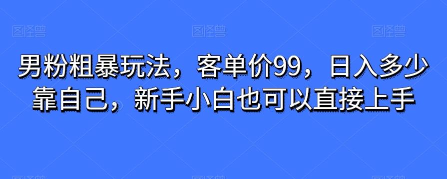 男粉粗暴玩法，客单价99，日入多少靠自己，新手小白也可以直接上手-海旭网创