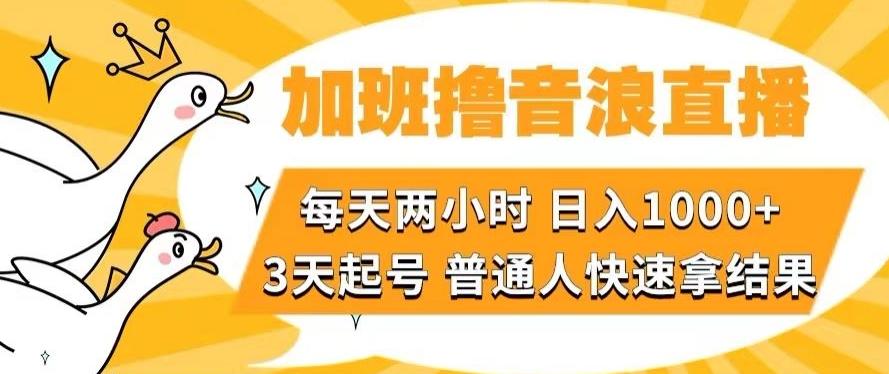 加班撸音浪直播，每天两小时，日入1000+，直播话术才3句，3天起号，普通人快速拿结果【揭秘】-海旭网创