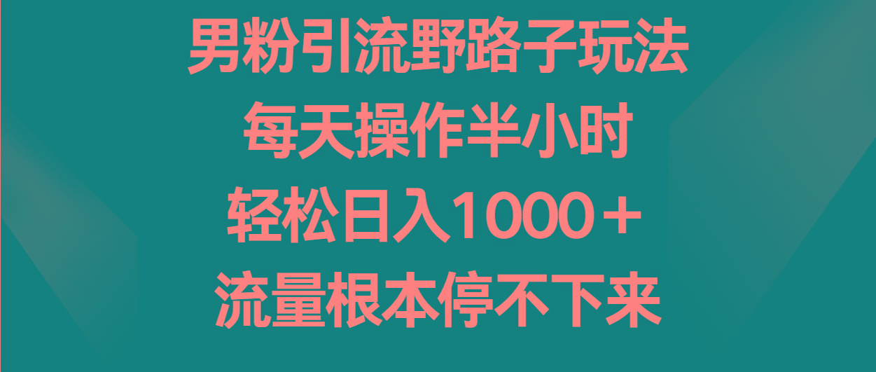 男粉引流野路子玩法，每天操作半小时轻松日入1000＋，流量根本停不下来-海旭网创