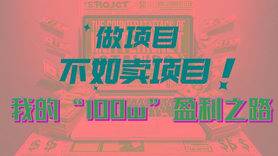 为什么做项目不如卖项目？我的100W+盈利之路-海旭网创