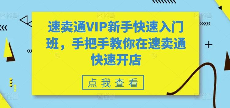 速卖通VIP新手快速入门班，手把手教你在速卖通快速开店-海旭网创
