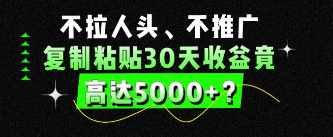 不拉人头、不推广，复制粘贴30天收益竟高达5000+？-海旭网创