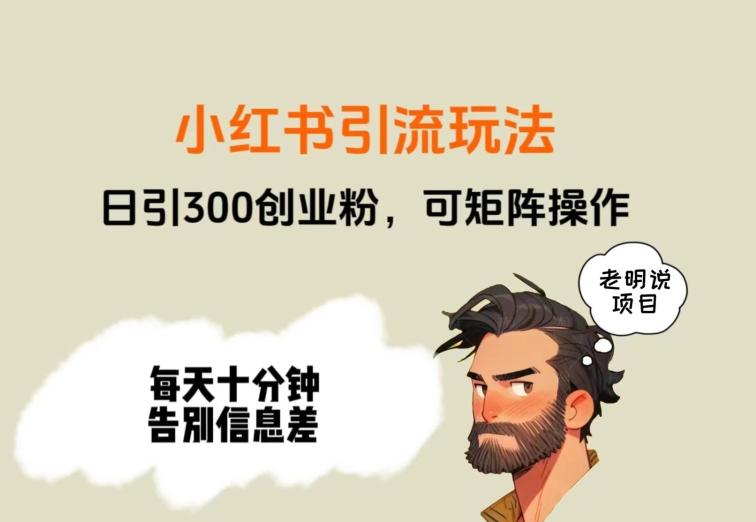 靠小红书视频日印300粉，两分钟一个视频轻松矩阵-海旭网创