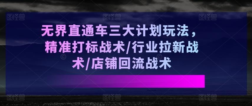 无界直通车三大计划玩法，精准打标战术/行业拉新战术/店铺回流战术-海旭网创