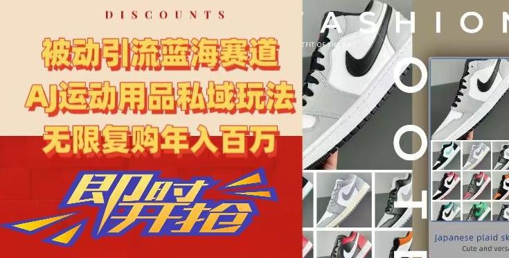 被动引流蓝海赛道，AJ运动用品私域玩法，无限复购年入百万【揭秘】-海旭网创