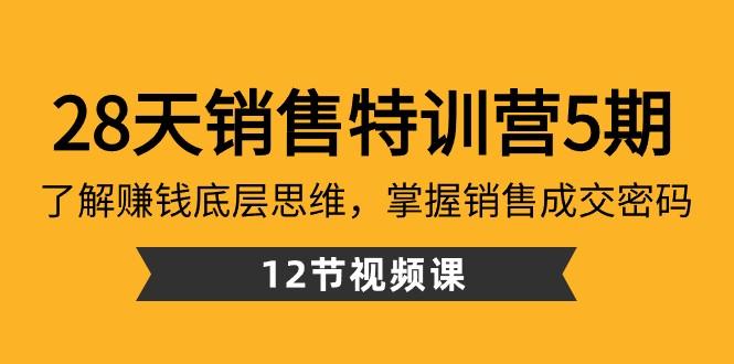 28天销售特训营5期：了解赚钱底层思维，掌握销售成交密码（12节课）-海旭网创