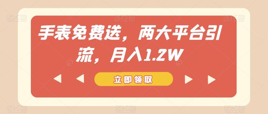 手表免费送，两大平台引流，月入1.2W【揭秘】-海旭网创