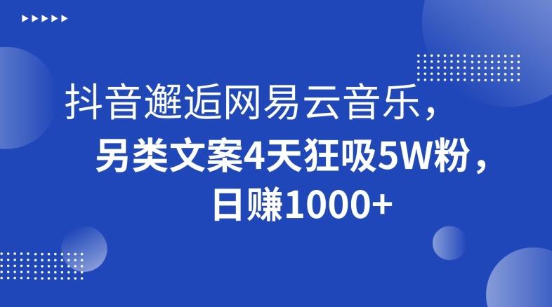 抖音邂逅网易云音乐，另类文案4天狂吸5W粉，日赚1000+【揭秘】-海旭网创