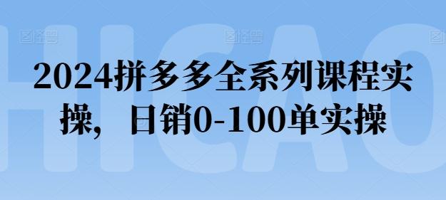 2024拼多多全系列课程实操，日销0-100单实操【必看】-海旭网创