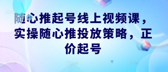 随心推起号线上视频课，实操随心推投放策略，正价起号-海旭网创