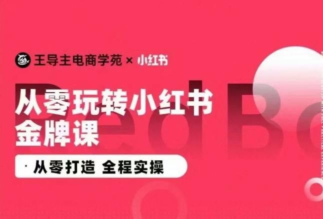 王导主·小红书电商运营实操课，​从零打造  全程实操-海旭网创