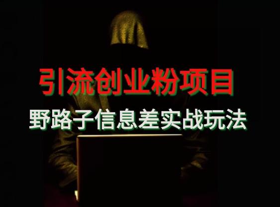 【引流创业粉】野路子信息差玩法实战教学-海旭网创