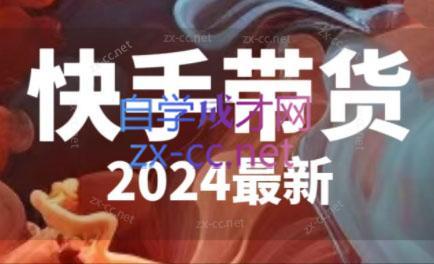 快手带货(2024最新)-海旭网创