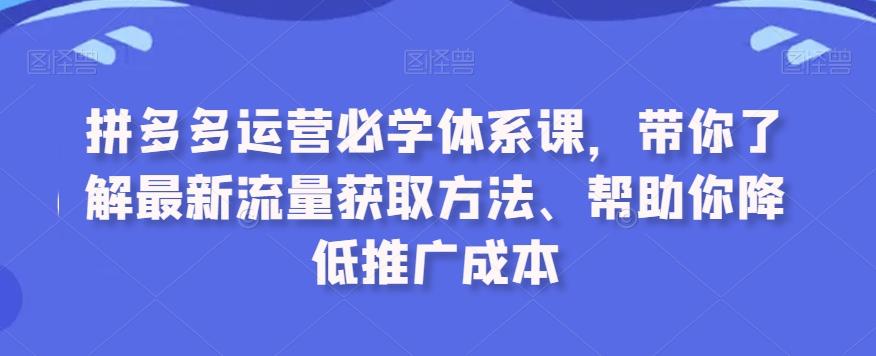 拼多多运营必学体系课，带你了解最新流量获取方法、帮助你降低推广成本-海旭网创