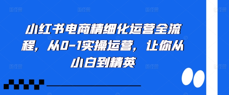 小红书电商精细化运营全流程，从0-1实操运营，让你从小白到精英-海旭网创