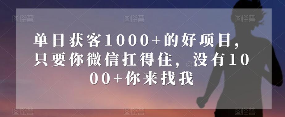 单日获客1000+的好项目，只要你微信扛得住，没有1000+你来找我【揭秘】-海旭网创