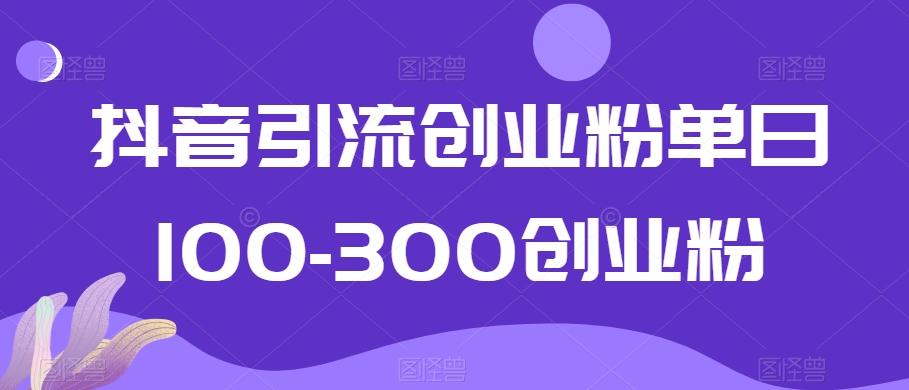 抖音引流创业粉单日100-300创业粉【揭秘】-海旭网创