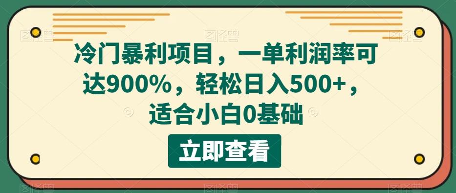 冷门暴利项目，一单利润率可达900%，轻松日入500+，适合小白0基础-海旭网创
