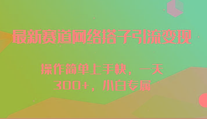 最新赛道网络搭子引流变现!!操作简单上手快，一天300+，小白专属-海旭网创