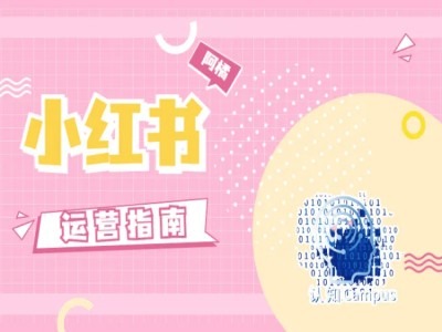 小红书运营指南，没有套路，全是经验-海旭网创