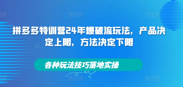 拼多多特训营24年爆破流玩法，产品决定上限，方法决定下限，各种玩法技巧落地实操-海旭网创