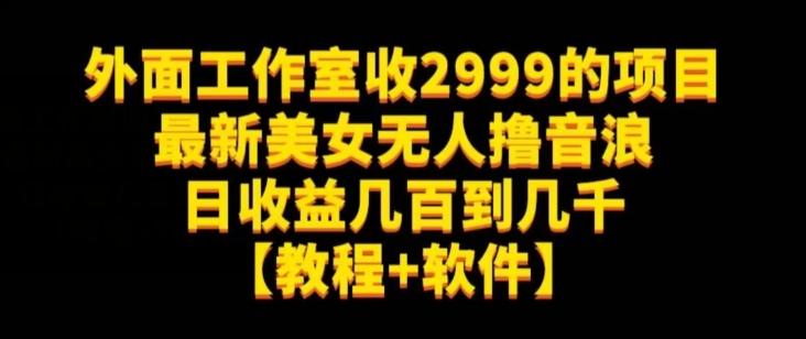 外面工作室收2999的项目最新美女无人撸音浪日收益几百到几千【教程+软件】（仅揭秘）-海旭网创