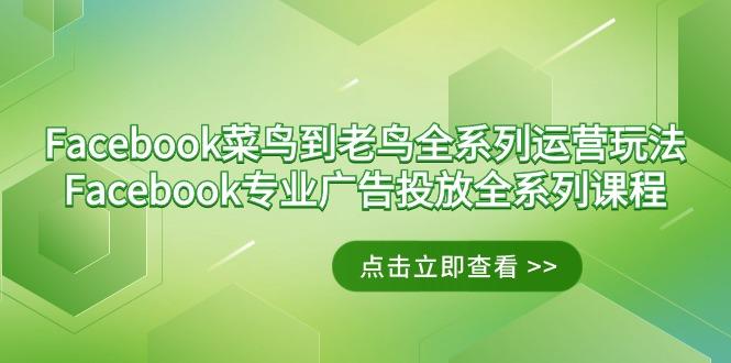 Facebook-菜鸟到老鸟全系列运营玩法+Facebook-专业广告投放全系列课程-海旭网创