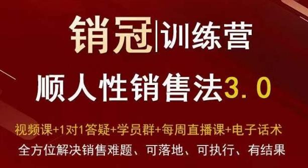 爆款！销冠训练营3.0之顺人性销售法，全方位解决销售难题、可落地、可执行、有结果-海旭网创