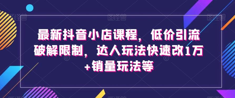 最新抖音小店课程，低价引流破解限制，达人玩法快速改1万+销量玩法等-海旭网创