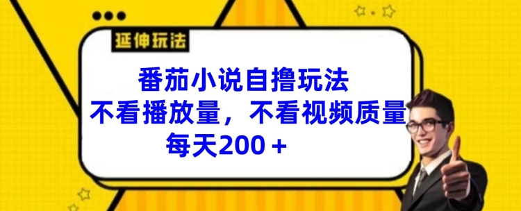 番茄小说自撸玩法，不看播放量，不看视频质量，每天200+【揭秘】-海旭网创