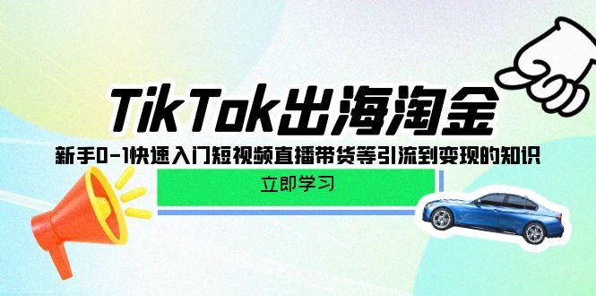 (10035期)TikTok-出海淘金，新手0-1快速入门短视频直播带货等引流到变现的知识-海旭网创
