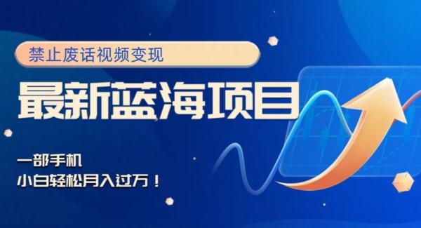 最新蓝海项目，靠禁止废话视频变现，一部手机，小白轻松月入过万！-海旭网创