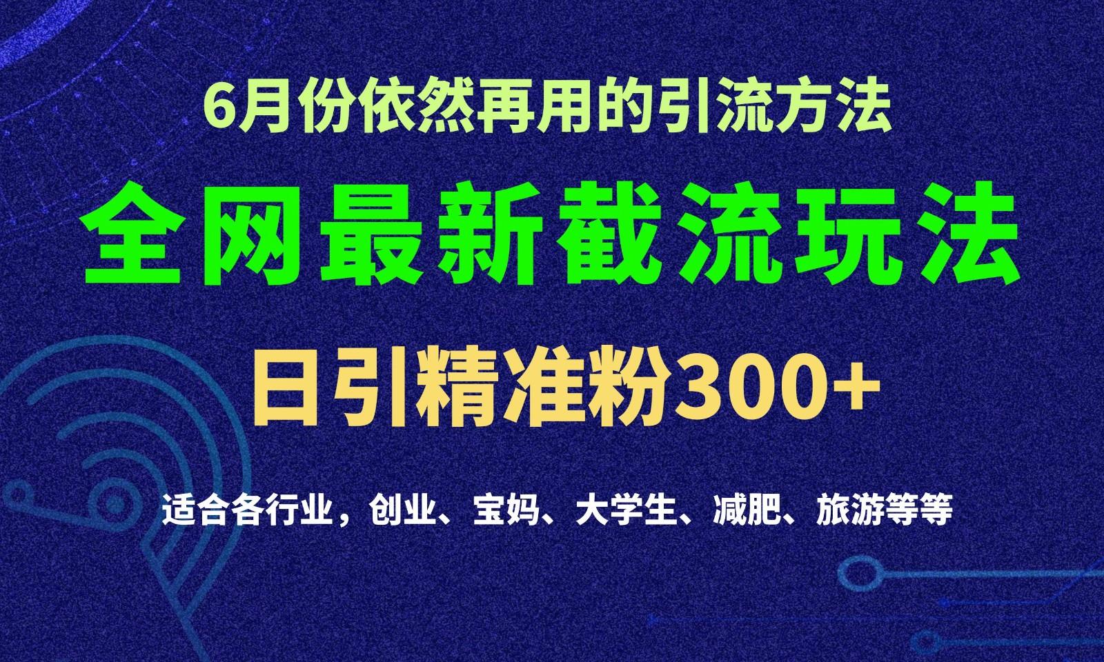 2024全网最新截留玩法，每日引流突破300+-海旭网创