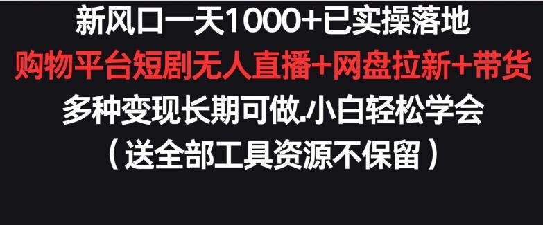 新风口一天1000+已实操落地购物平台短剧无人直播+网盘拉新+带货多种变现长期可做【揭秘】-海旭网创