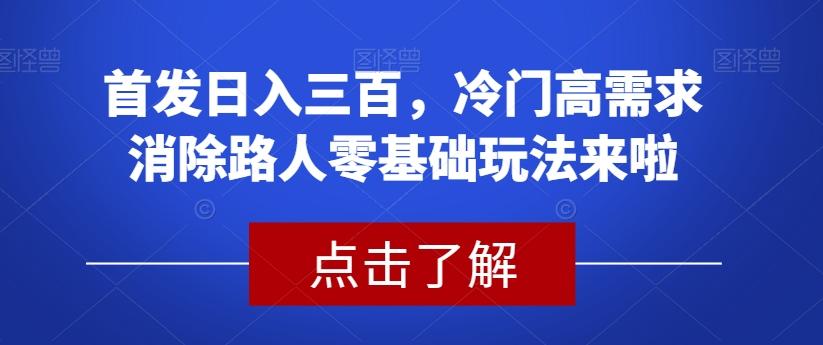 首发日入三百，冷门高需求消除路人零基础玩法来啦【揭秘】-海旭网创