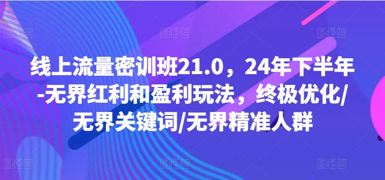 线上流量密训班21.0，24年下半年-无界红利和盈利玩法，终极优化/无界关键词/无界精准人群-海旭网创