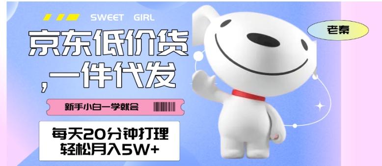 每天20分钟打理京东低价货，一件代发-轻松月入5W＋-海旭网创