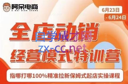 阿呆电商·全店动销经营模式特训营(线下录音+思维导图)-海旭网创